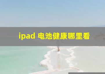 ipad 电池健康哪里看